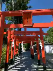 高屋敷稲荷神社の鳥居