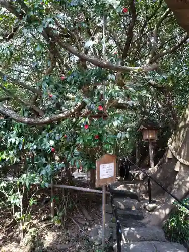 八大龍王水神(宮崎県)