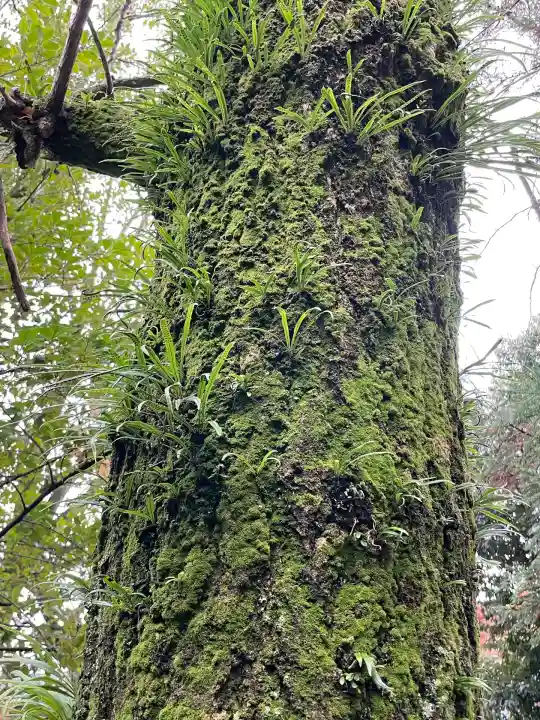 若宮神明社(愛知県)