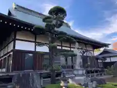 小川寺の本殿