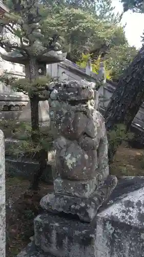 鶴崎神社の狛犬