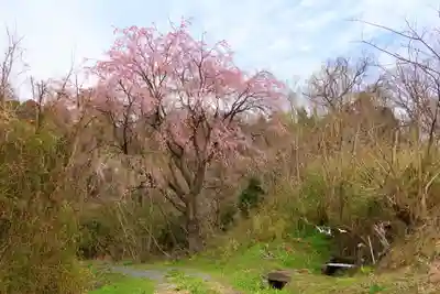 八幡神社の自然