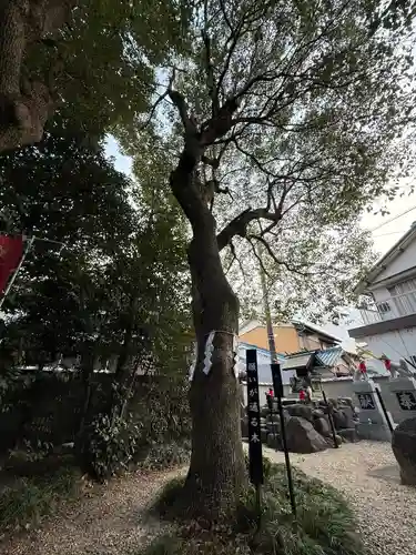 玉三稲荷神社(三重県)