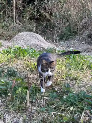 鵜戸神社(大御神社境内社)(宮崎県)