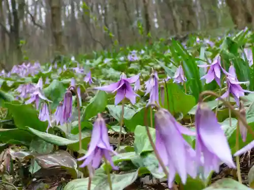 三毳不動尊(栃木県)