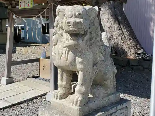 八幡津島神社の狛犬