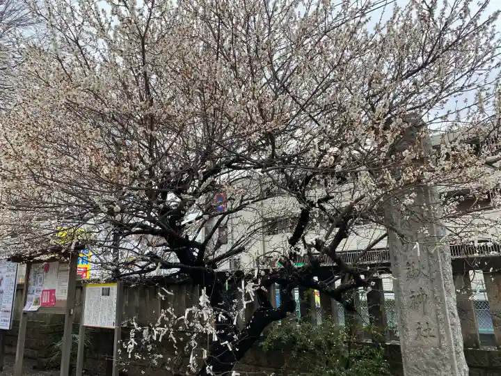 氷川鍬神社の{uncategorized: "未分類", other: "その他", undefined: "問題あり", building: "その他建物", grave: "お墓", sacred_gate: "鳥居", guardian: "狛犬", statue: "像", buddha: "仏像", history: "歴史", nature: "自然", garden: "庭園", animal: "動物", pagoda: "塔", temizu: "手水舎", mountain_gate: "山門・神門", sanctuary: "本殿・本堂", subordinate: "末社・摂社", art: "芸術", scenery: "景色", jizo: "地蔵", ema: "絵馬", goshuin: "御朱印", omikuji: "おみくじ", items: "授与品その他", amulet: "お守り", goshuincho: "御朱印帳", eats: "食事", festival: "お祭り", votive_dance: "神楽", shichigosan: "七五三参", wedding: "結婚式", experience: "体験その他", initially: "初詣", around: "周辺", anti_infection: "感染症対策"}