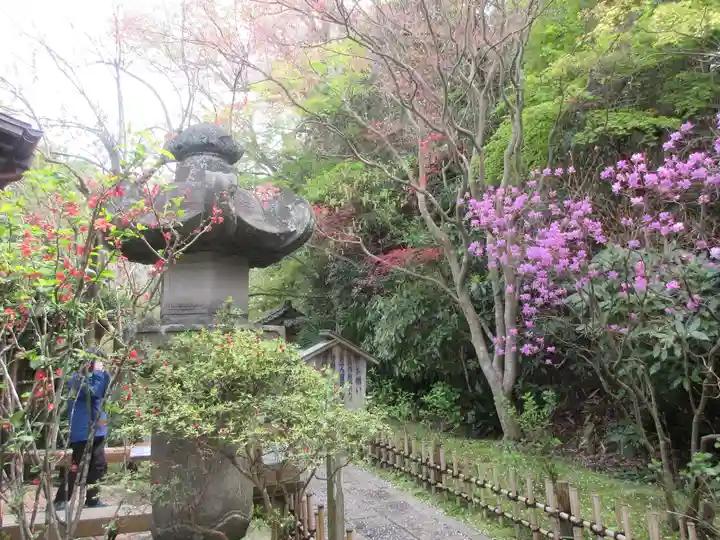 安國論寺(安国論寺)の庭園
