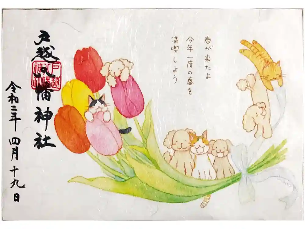 戸越八幡神社の御朱印