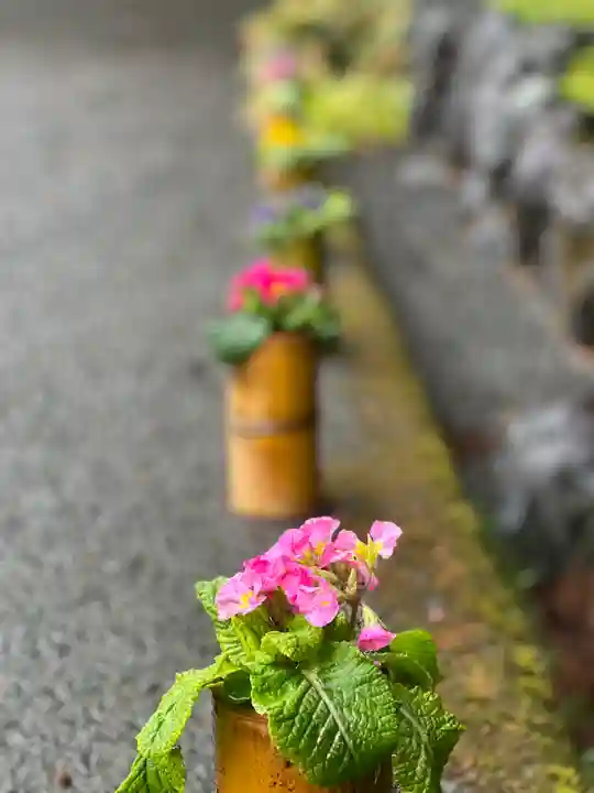 須山浅間神社(静岡県)