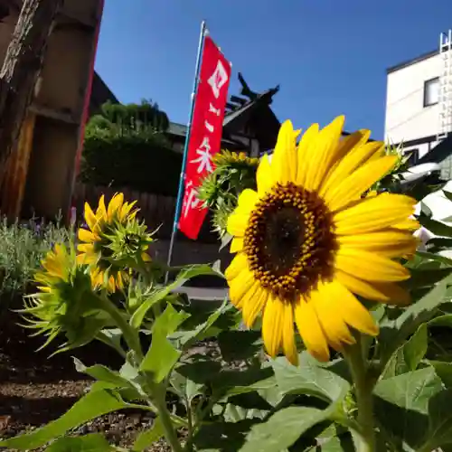 七重浜海津見神社の自然