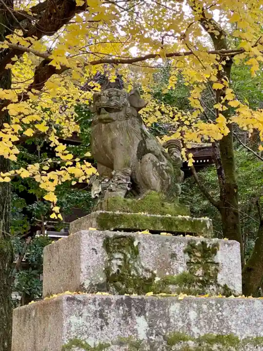 石清水八幡宮の狛犬