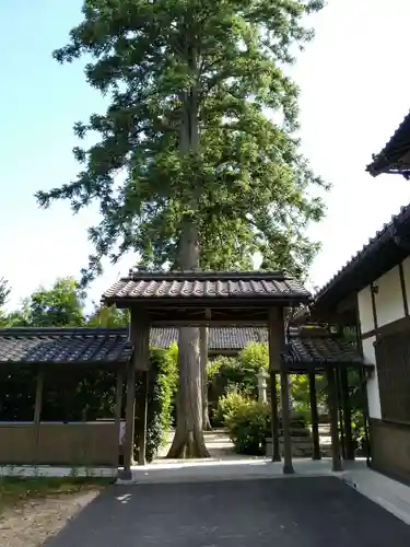 隆国寺のその他建物