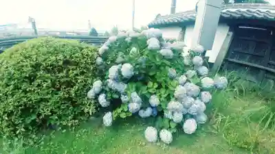 清見寺(静岡県)