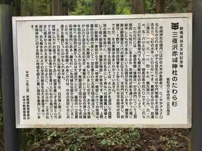 赤城神社(三夜沢町)のその他建物