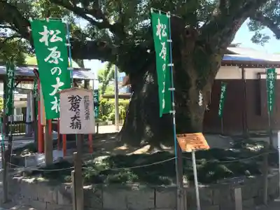 佐嘉神社・松原神社(佐賀県)