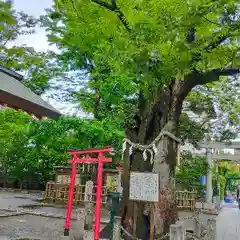 新田神社の自然