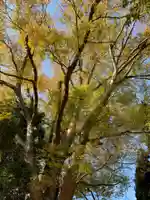 御嶽神社(千葉県)