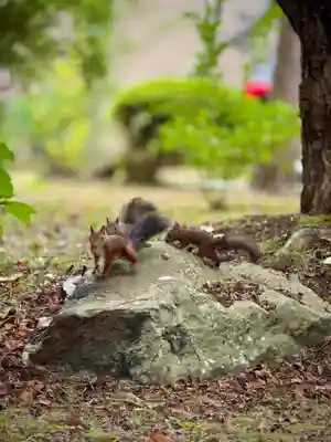伊達神社(北海道)