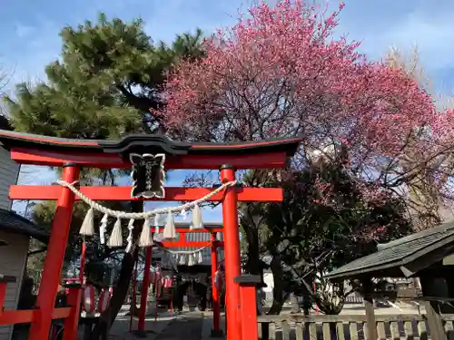 前橋神明宮の鳥居