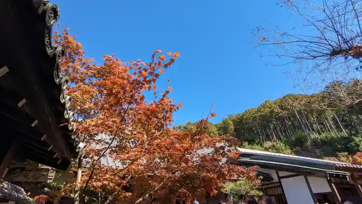 圓光寺(京都府)