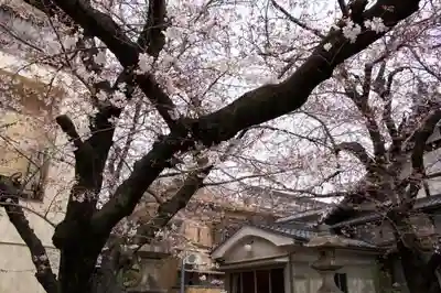 墨染寺（桜寺）のその他建物