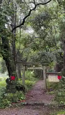 秦神社(高知県)