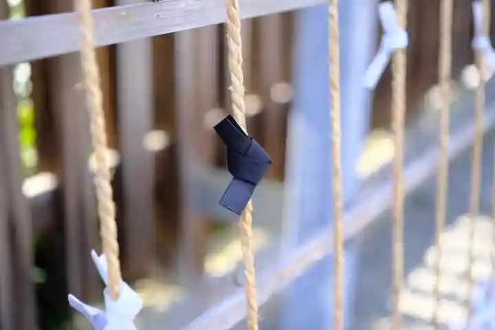 和泉國一之宮 大鳥大社のおみくじ