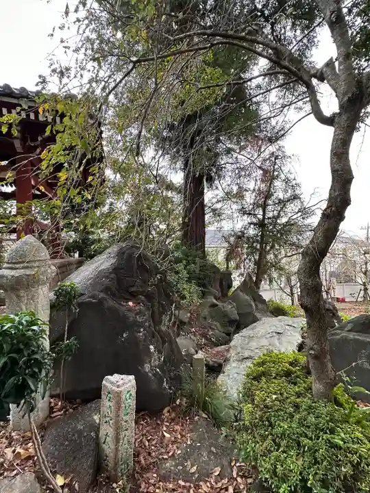 善養寺(善養密寺)(東京都)