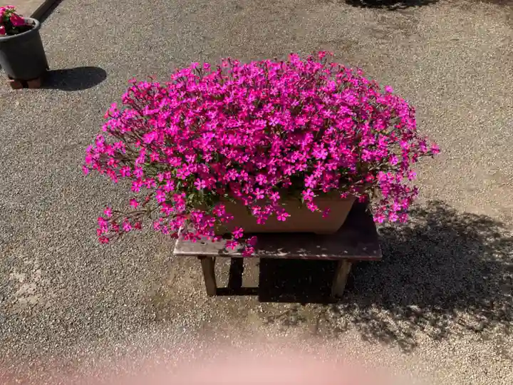 等覚院(藤巻寺)(神奈川県)