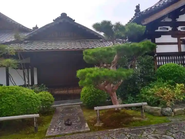 妙心寺(妙心禅寺)(京都府)