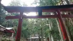 神渕神社の鳥居