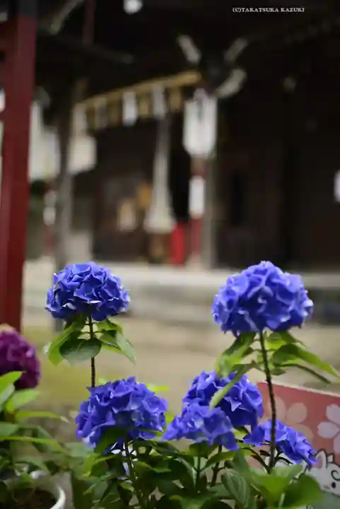 磐井神社の自然