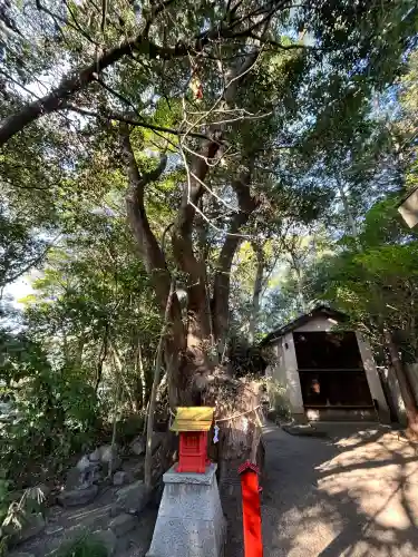 津八幡宮の{uncategorized: "未分類", other: "その他", undefined: "問題あり", building: "その他建物", grave: "お墓", sacred_gate: "鳥居", guardian: "狛犬", statue: "像", buddha: "仏像", history: "歴史", nature: "自然", garden: "庭園", animal: "動物", pagoda: "塔", temizu: "手水舎", mountain_gate: "山門・神門", sanctuary: "本殿・本堂", subordinate: "末社・摂社", art: "芸術", scenery: "景色", jizo: "地蔵", ema: "絵馬", goshuin: "御朱印", omikuji: "おみくじ", items: "授与品その他", amulet: "お守り", goshuincho: "御朱印帳", eats: "食事", festival: "お祭り", votive_dance: "神楽", shichigosan: "七五三参", wedding: "結婚式", experience: "体験その他", initially: "初詣", around: "周辺", anti_infection: "感染症対策"}