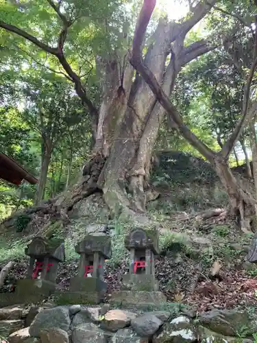 白瀧神社(群馬県)