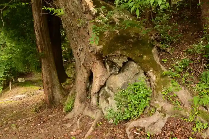 栗枝渡神社(徳島県)