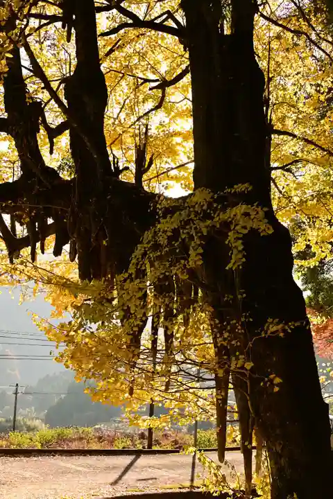八畝観音堂(高知県)