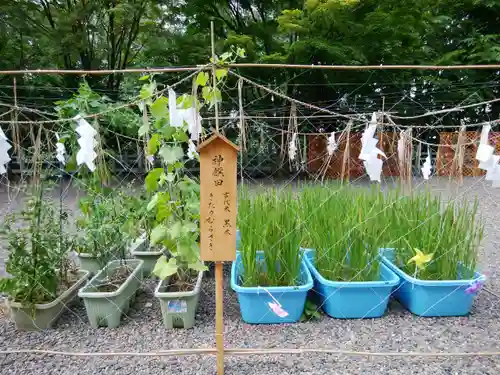 上川神社のその他建物