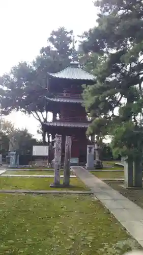 安樂寺の塔