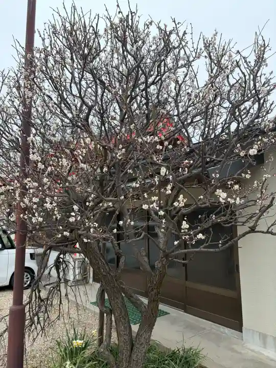 筒井八幡神社の{uncategorized: "未分類", other: "その他", undefined: "問題あり", building: "その他建物", grave: "お墓", sacred_gate: "鳥居", guardian: "狛犬", statue: "像", buddha: "仏像", history: "歴史", nature: "自然", garden: "庭園", animal: "動物", pagoda: "塔", temizu: "手水舎", mountain_gate: "山門・神門", sanctuary: "本殿・本堂", subordinate: "末社・摂社", art: "芸術", scenery: "景色", jizo: "地蔵", ema: "絵馬", goshuin: "御朱印", omikuji: "おみくじ", items: "授与品その他", amulet: "お守り", goshuincho: "御朱印帳", eats: "食事", festival: "お祭り", votive_dance: "神楽", shichigosan: "七五三参", wedding: "結婚式", experience: "体験その他", initially: "初詣", around: "周辺", anti_infection: "感染症対策"}