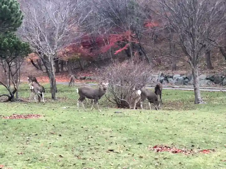 樽前山神社(北海道)