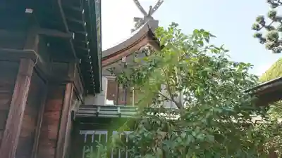 三宮神社の本殿・本堂