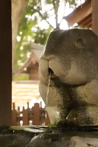 調神社の手水