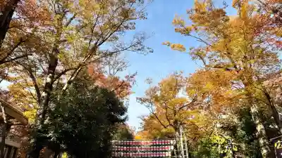 大國魂神社の{uncategorized: "未分類", other: "その他", undefined: "問題あり", building: "その他建物", grave: "お墓", sacred_gate: "鳥居", guardian: "狛犬", statue: "像", buddha: "仏像", history: "歴史", nature: "自然", garden: "庭園", animal: "動物", pagoda: "塔", temizu: "手水舎", mountain_gate: "山門・神門", sanctuary: "本殿・本堂", subordinate: "末社・摂社", art: "芸術", scenery: "景色", jizo: "地蔵", ema: "絵馬", goshuin: "御朱印", omikuji: "おみくじ", items: "授与品その他", amulet: "お守り", goshuincho: "御朱印帳", eats: "食事", festival: "お祭り", votive_dance: "神楽", shichigosan: "七五三参", wedding: "結婚式", experience: "体験その他", initially: "初詣", around: "周辺", anti_infection: "感染症対策"}