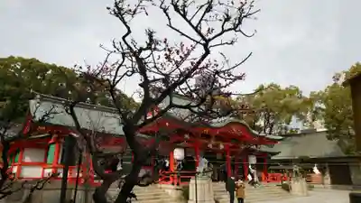 生田神社の本殿・本堂