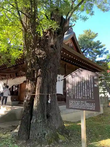 川中島古戦場八幡社の歴史