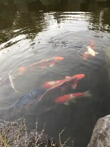 大生郷天満宮の庭園