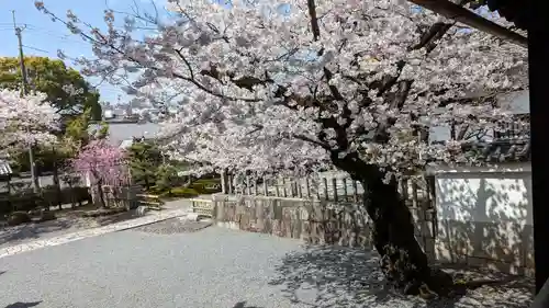 妙顯寺（妙顕寺）のその他建物