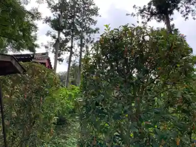 真如寺のその他建物