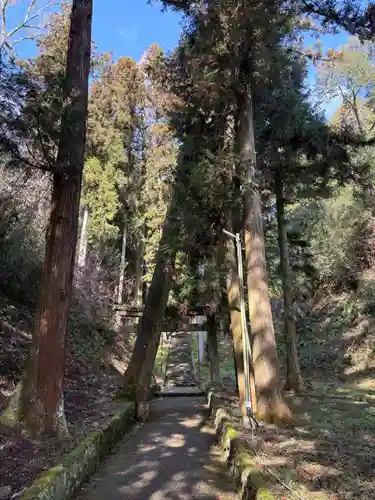 戸隠神社の自然